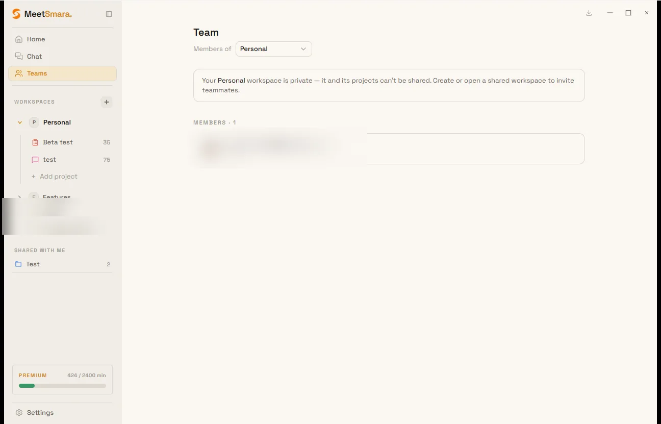 Team screen with invitations and member roles